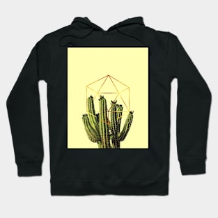 Cactohedron Hoodie